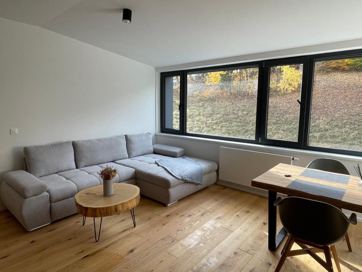 Ski&Bike Horsky Apartman 502 Янске-Лазне Екстер'єр фото